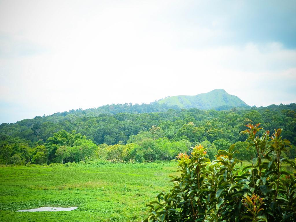 Kerala House Leilighet Thekkady Eksteriør bilde
